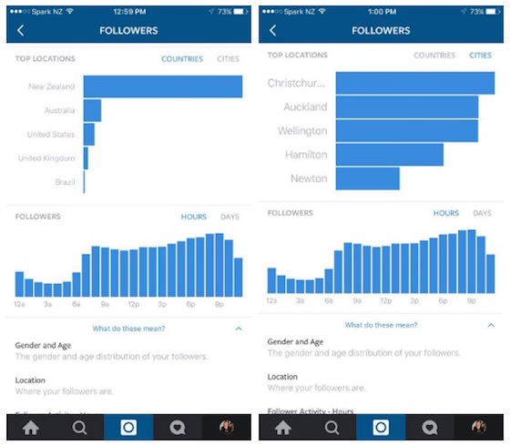 Instagram-Follower-and-Post-Analytics_2