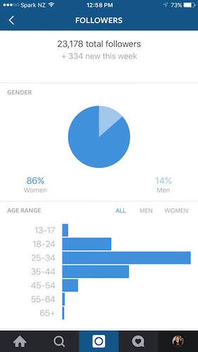 Instagram-Follower-and-Post-Analytics_3